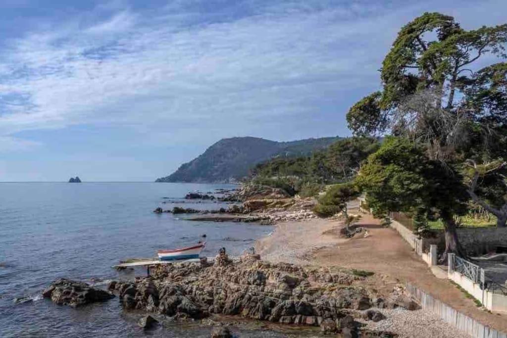 Ferienwohnung Le Criotto La Seyne-sur-Mer Exterior foto
